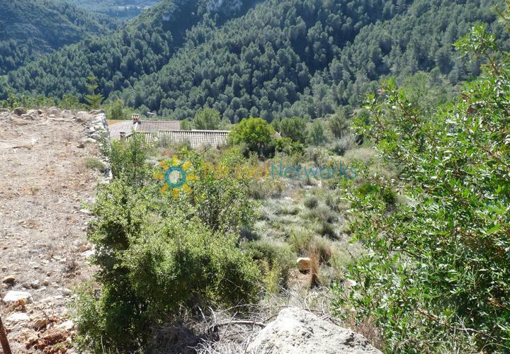 Helårsgrund i Oliva, Valencia, Oliva - € 77.000 | Ref: PNPT181 - foto 1