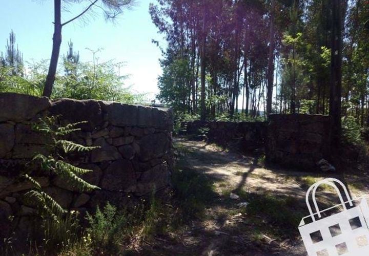Terra a Carvalhais e Candal, Viseu, Carvalhais e Candal - € 65.000 | Ref: 353/T/00329 - foto 1