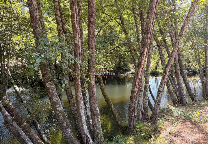Farm i Seia, Guarda, Seia - € 120.000 | Ref: 26016 - foto 1