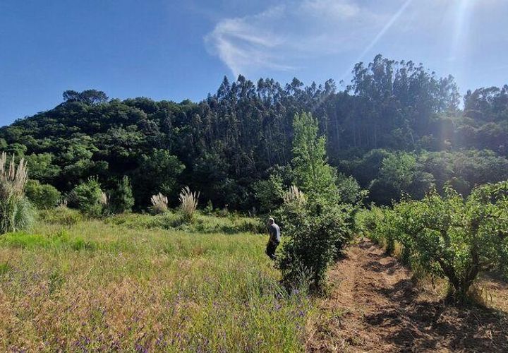 Grond in Mafra, Lisbon, Mafra - € 49.900 | Ref: 960640 - foto 1
