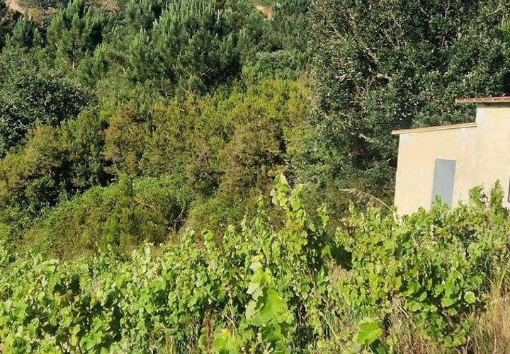 Grond in Mafra, Lisbon, Mafra - € 240.000 | Ref: 962815 - foto 1