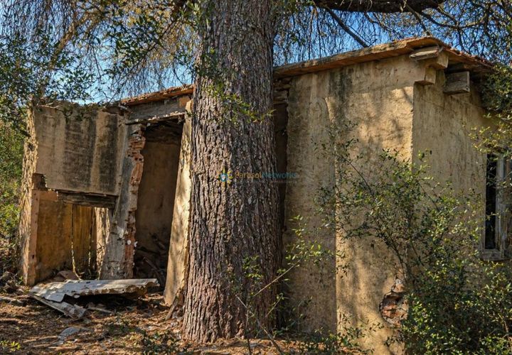 Helårsgrund i Bellus, Valencia, Bellus - € 21.000 | Ref: PNPT278 - foto 1