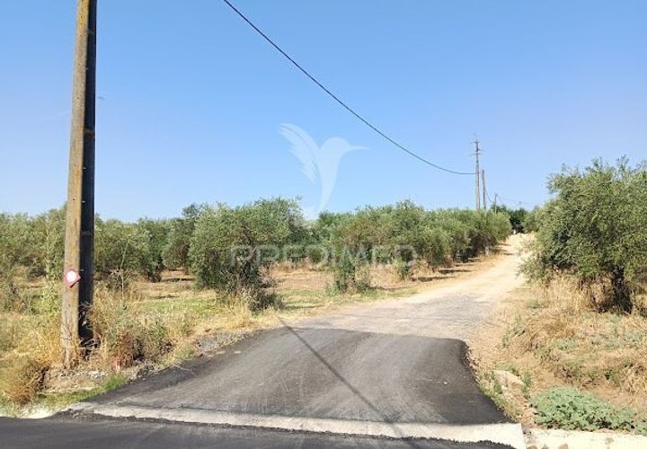 Helårsgrund i Campo Maior, Portalegre, Campo Maior - € 33.800 | Ref: 061643 - foto 1