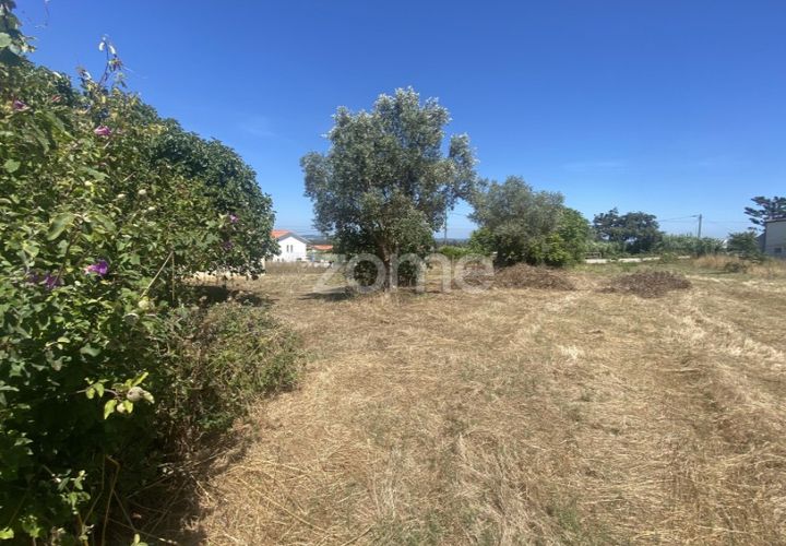 Helårsgrund i Lavos, Coimbra, Lavos - € 67.500 | Ref: ZMPT590615 - foto 1