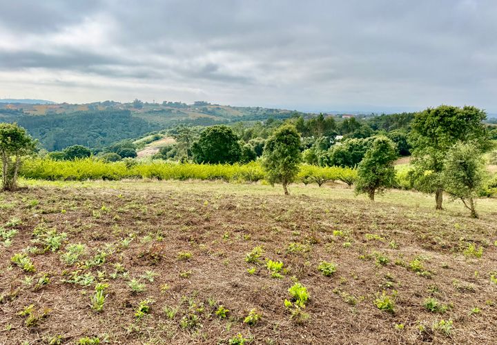 Helårsgrund i Obidos, Leiria, Obidos - € 70.000 | Ref: RVJ2951- - foto 1