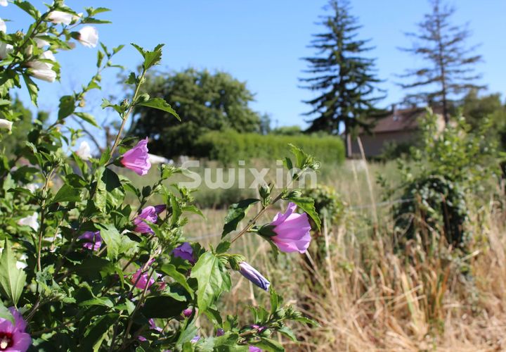 Helårsgrund i Saint-Aubin, Jura, Saint-Aubin - € 29.000 | Ref: 19407SJ - foto 1