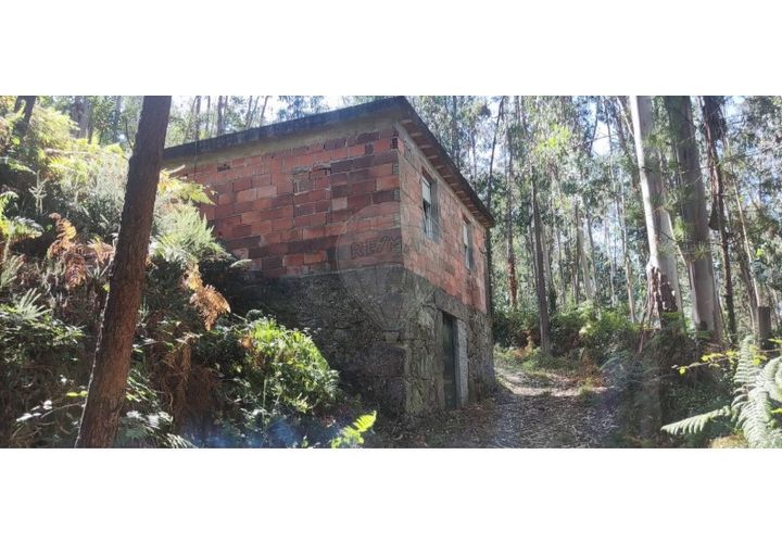Terra em Chorense e Monte, Braga, Chorense e Monte - € 36.500 | Ref: 126971008-6 - foto 1