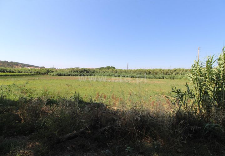 Helårsgrund i Torres Vedras, Lisbon, Torres Vedras - € 10.000 | Ref: 295260075 - foto 1