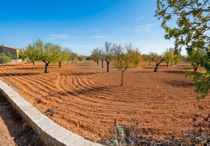 Helårsgrund i Campos, Mallorca, Campos - € 345.000 | Ref: 7909 - foto 1