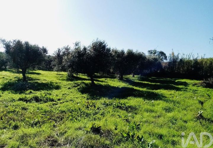 Terra a Vidigueira, Beja, Vidigueira - € 255.000 | Ref: 946626 - foto 1