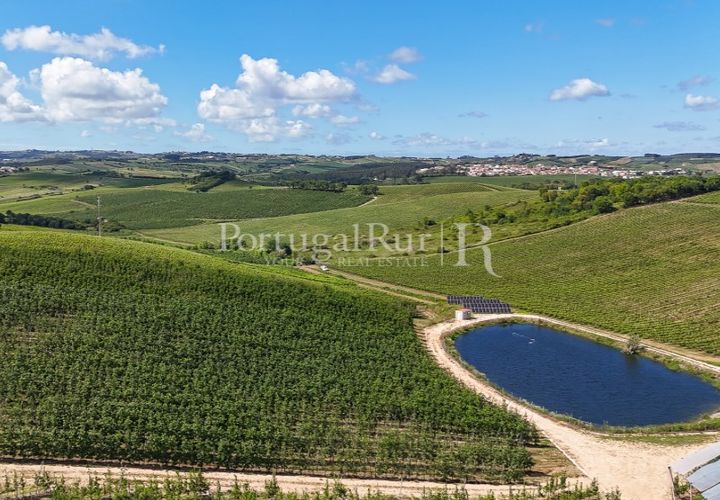 Landejendom i Cadaval, Lisbon, Cadaval - € 2.600.000 | Ref: FG495 - foto 1