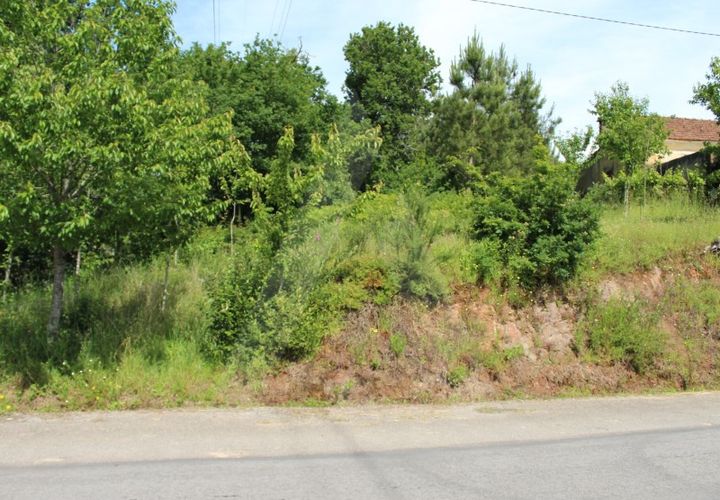 Helårsgrund i Agueda, Aveiro, Agueda - € 25.000 | Ref: 1011188/21 GL - foto 1