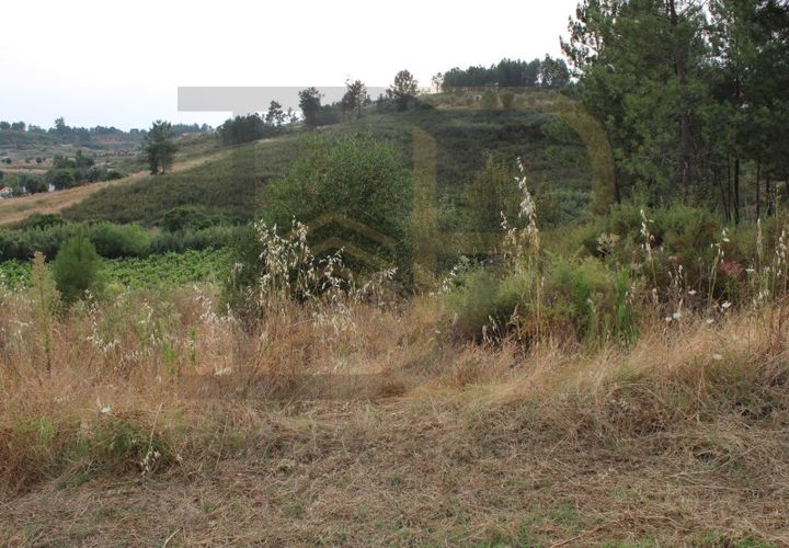 Helårsgrund i Abrantes, Santarem, Abrantes - € 10.000 | Ref: TER_97 - foto 1