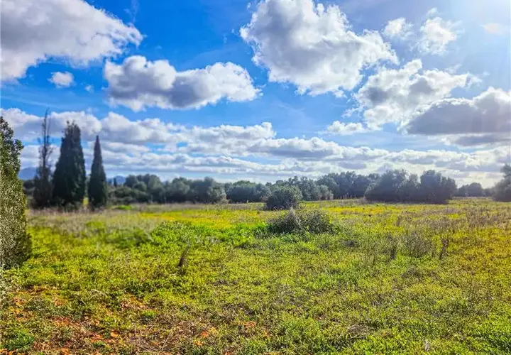 Helårsgrund i Felanitx, Mallorca, Felanitx - € 280.000 | Ref: 46609 - foto 1