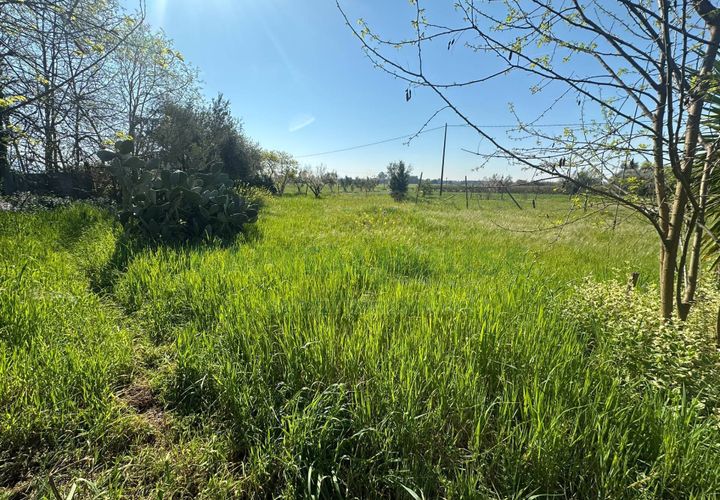 Helårsgrund i Capua, Caserta, Capua - € 89.000 | Ref: 89TERRENO - foto 1