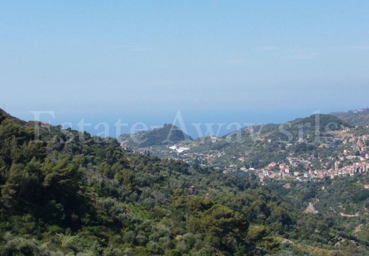 Terra em Seborga, Imperia, Seborga - € 440.000 | Ref: iv1342 - foto 1