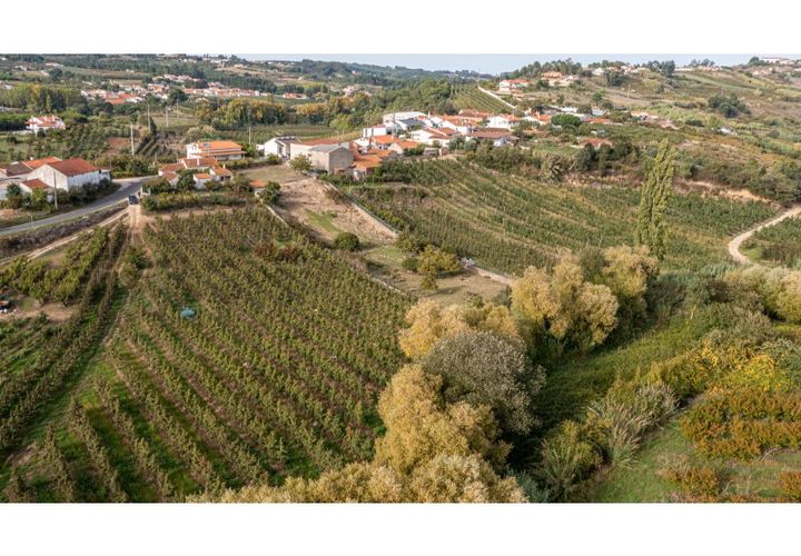 Helårsgrund i Alcobaca, Leiria, Alcobaca - € 30.000 | Ref: 099/2022.PA - foto 1