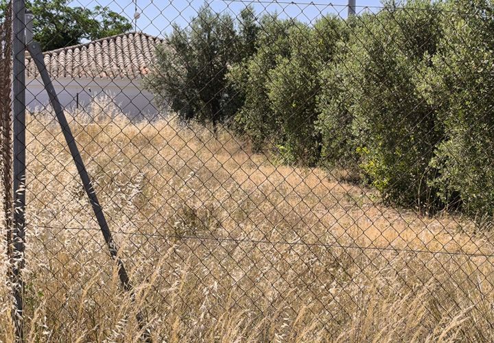 Terra a Caudete, Albacete, Caudete - € 49.995 | Ref: 71003 - foto 1
