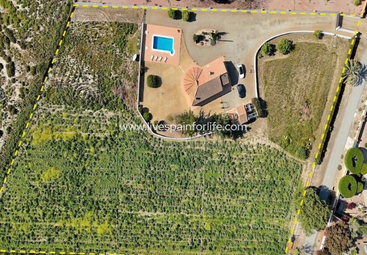 Landejendom i Dolores, Alicante, Dolores - € 375.000 | Ref: DOL CM - foto 1