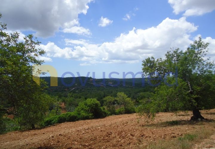 Helårsgrund i Paderne, Faro, Paderne - € 50.000 | Ref: TE-19 (PR-197) - foto 1