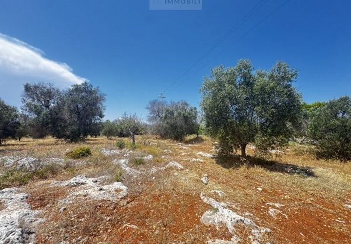 Helårsgrund i Carovigno, Brindisi, Carovigno - € 85.000 | Ref: ter7 land - foto 1