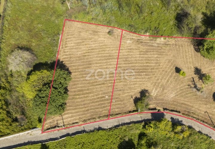 Tomt i Grijo, Porto, Grijo - € 90 000 | Ref: ZMPT577635 - foto 1