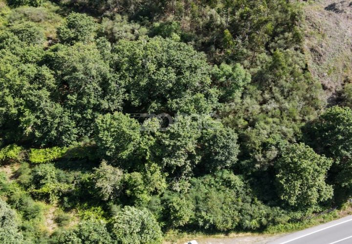 Helårsgrund i Ponte da Barca, Viana do Castelo, Ponte da Barca - € 190.000 | Ref: ZMPT550674 - foto 1