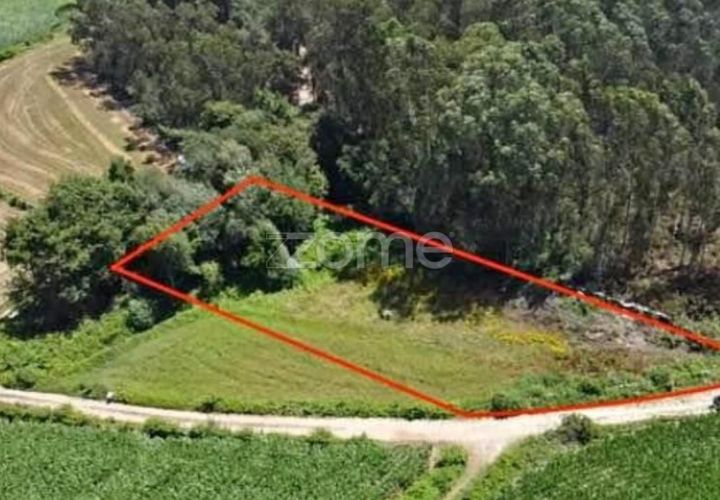 Terra em Cristelo, Braga, Cristelo - € 19.900 | Ref: ZMPT589379 - foto 1