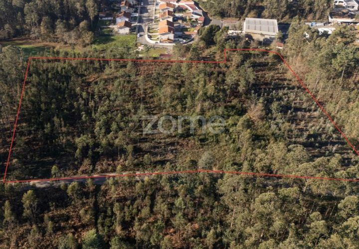 Helårsgrund i Argoncilhe, Aveiro, Argoncilhe - € 790.000 | Ref: ZMPT563841 - foto 1
