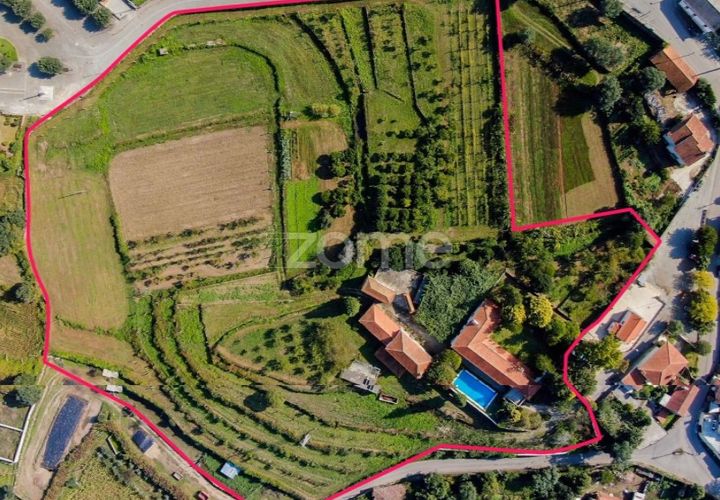 Farm i Barcelos, Braga, Barcelos - € 900.000 | Ref: ZMPT542540 - foto 1