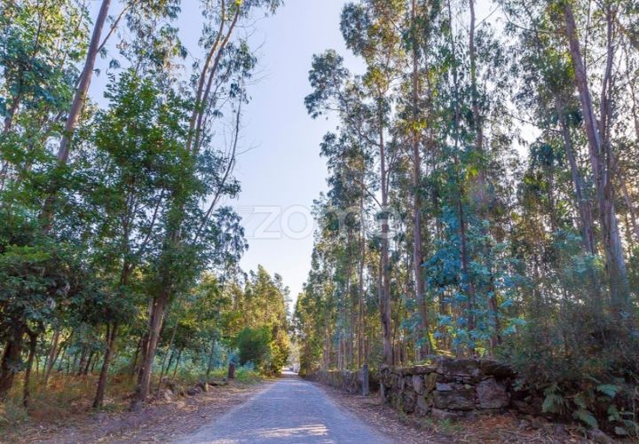 Helårsgrund i Santo Tirso, Porto, Santo Tirso - € 80.000 | Ref: ZMPT541480 - foto 1