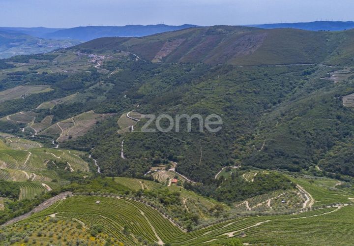 Granja a Sabrosa, Vila Real, Sabrosa - € 355.000 | Ref: ZMPT589429 - foto 1