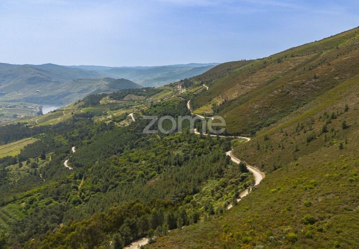 Farm i Sabrosa, Vila Real, Sabrosa - € 355.000 | Ref: ZMPT589429 - foto 1