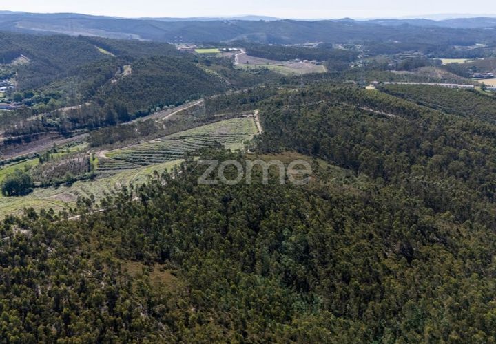 Helårsgrund i Trofa, Porto, Trofa - € 290.000 | Ref: ZMPT570935 - foto 1