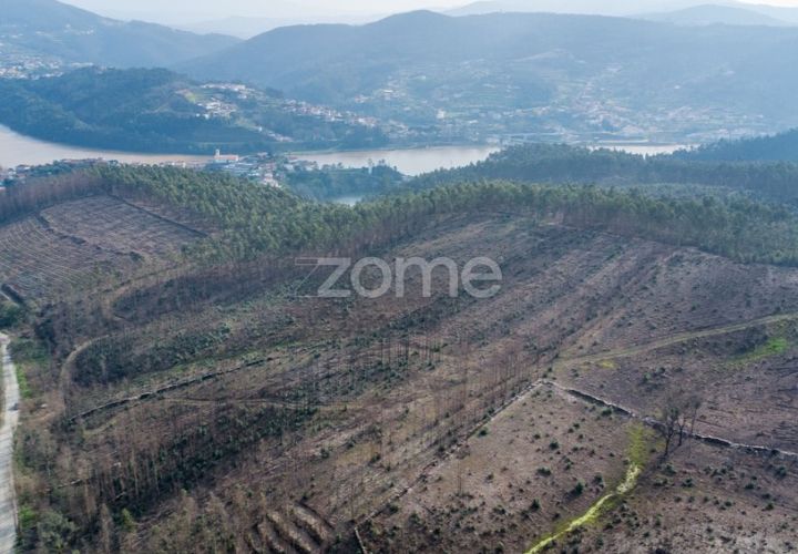 Helårsgrund i Penafiel, Porto, Penafiel - € 50.000 | Ref: ZMPT586272 - foto 1