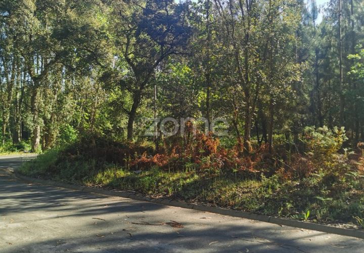 Helårsgrund i Agueda, Aveiro, Agueda - € 62.500 | Ref: ZMPT559454 - foto 1