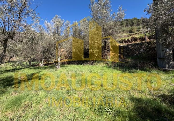 Helårsgrund i Celorico da Beira, Guarda, Celorico da Beira - € 19.900 | Ref: TER_2433 - foto 1