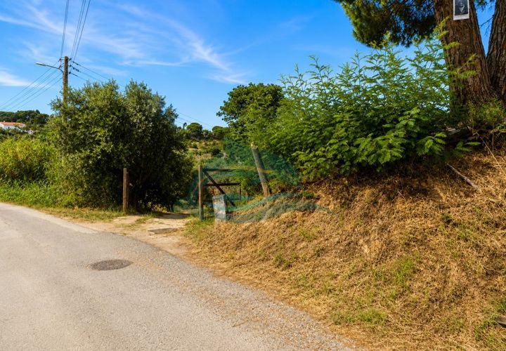 Farm i Azambuja, Lisbon, Azambuja - € 310.000 | Ref: MAS_21 - foto 1