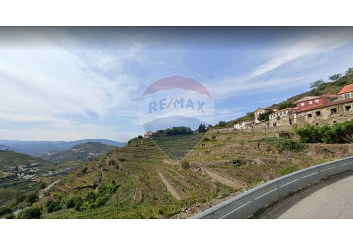 Farm i Alvacoes do corgo, Vila Real, Alvacoes do corgo - € 1.500.000 | Ref: 120781532-3 - foto 1