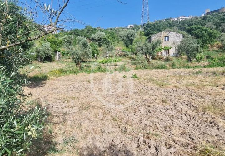 Terra a Celorico da Beira, Guarda, Celorico da Beira - € 49.000 | Ref: SÒL_122 - foto 1