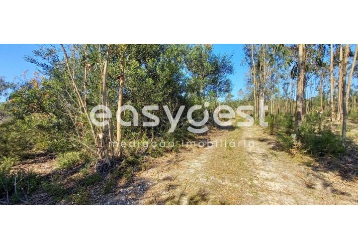 Helårsgrund i Cantanhede, Coimbra, Cantanhede - € 50.000 | Ref: RR93259 - foto 1
