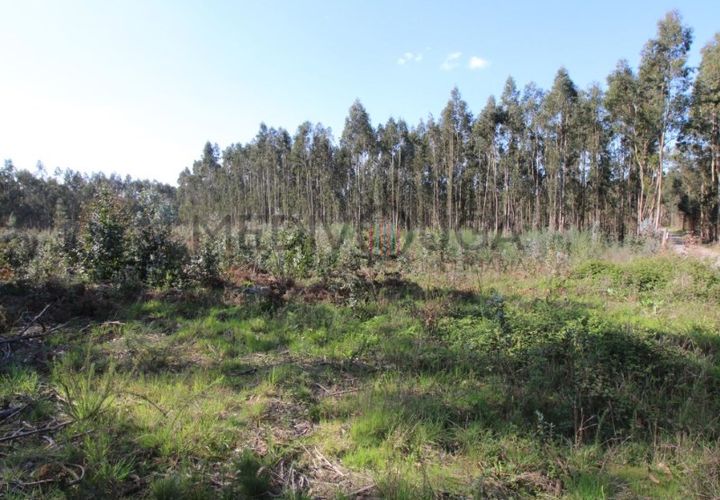 Helårsgrund i Aguada de Cima, Aveiro, Aguada de Cima - € 70.000 | Ref: IMO_118 - foto 1