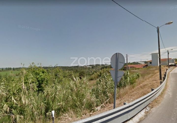 Terra a Vila Nova de Ancos, Coimbra, Vila Nova de Ancos - € 50.000 | Ref: ZMPT540147 - foto 1