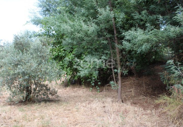 Helårsgrund i Viseu, Viseu, Viseu - € 26.500 | Ref: ZMPT572869 - foto 1