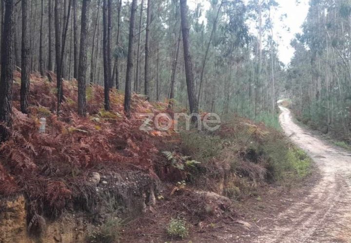Helårsgrund i Pombal, Leiria, Pombal - € 32.500 | Ref: ZMPT570921 - foto 1