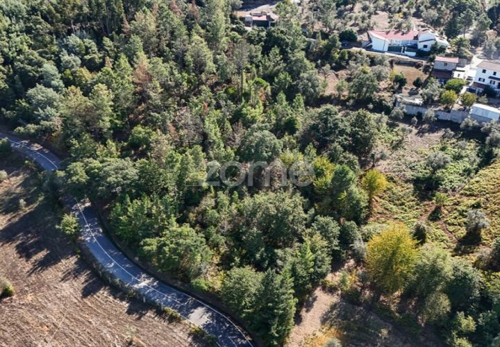 Tomt i Folques, Coimbra, Folques - € 24 900 | Ref: ZMPT581609 - foto 1