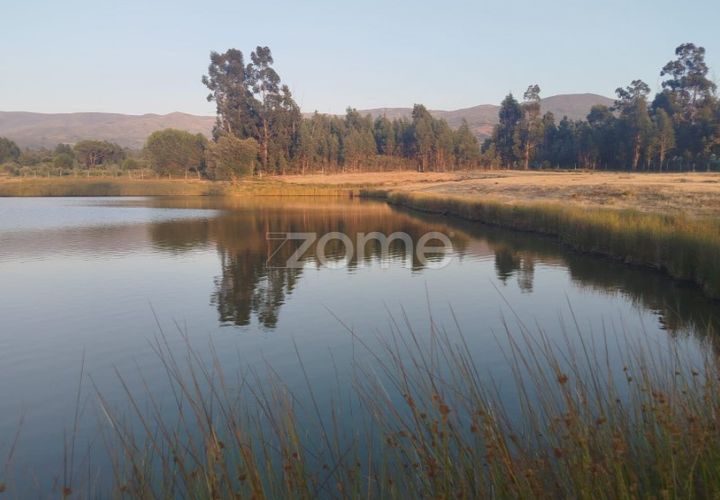 Helårsgrund i Seia, Guarda, Seia - € 1.000.000 | Ref: ZMPT579781 - foto 1