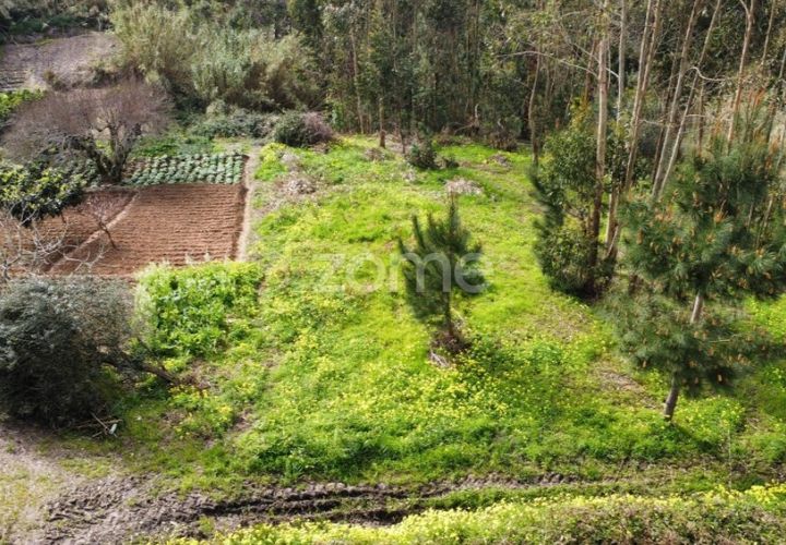 Terra em Alqueidao, Coimbra, Alqueidao - € 115.000 | Ref: ZMPT586856 - foto 1