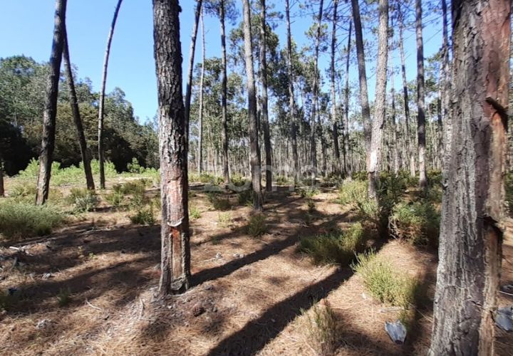 Terra em Maxial e Monte Redondo, Lisbon, Maxial e Monte Redondo - € 9.900 | Ref: ZMPT551124 - foto 1