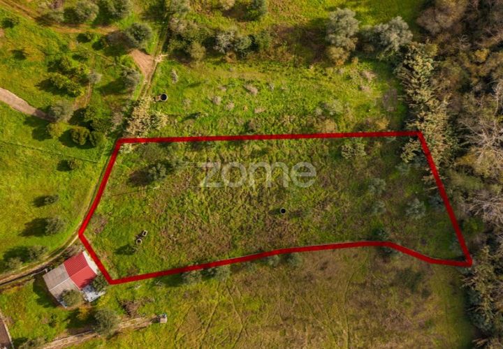 Helårsgrund i Pombal, Leiria, Pombal - € 45.000 | Ref: ZMPT583908 - foto 1